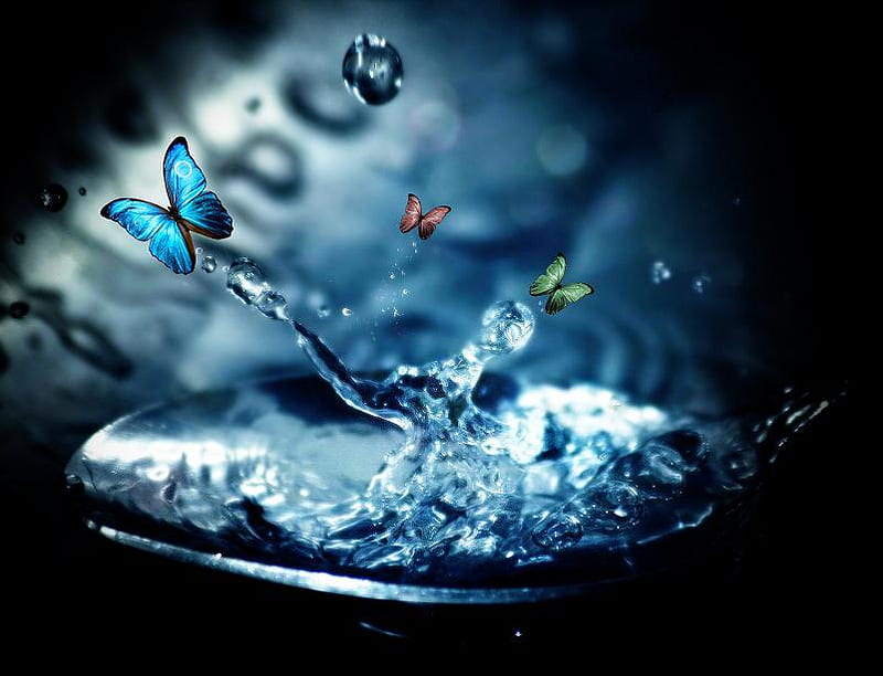 Butterfly tears, splash, water, green, three, butterflies, pink, blue ...