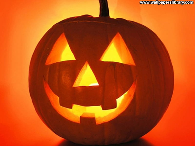 Halloween Pumpkin, boo, trick or treat, halloween, jack o lantern, pumpkin, scary, HD wallpaper