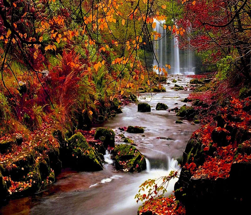 Autumn, forest, landscape, nature, waterfalls, HD wallpaper | Peakpx