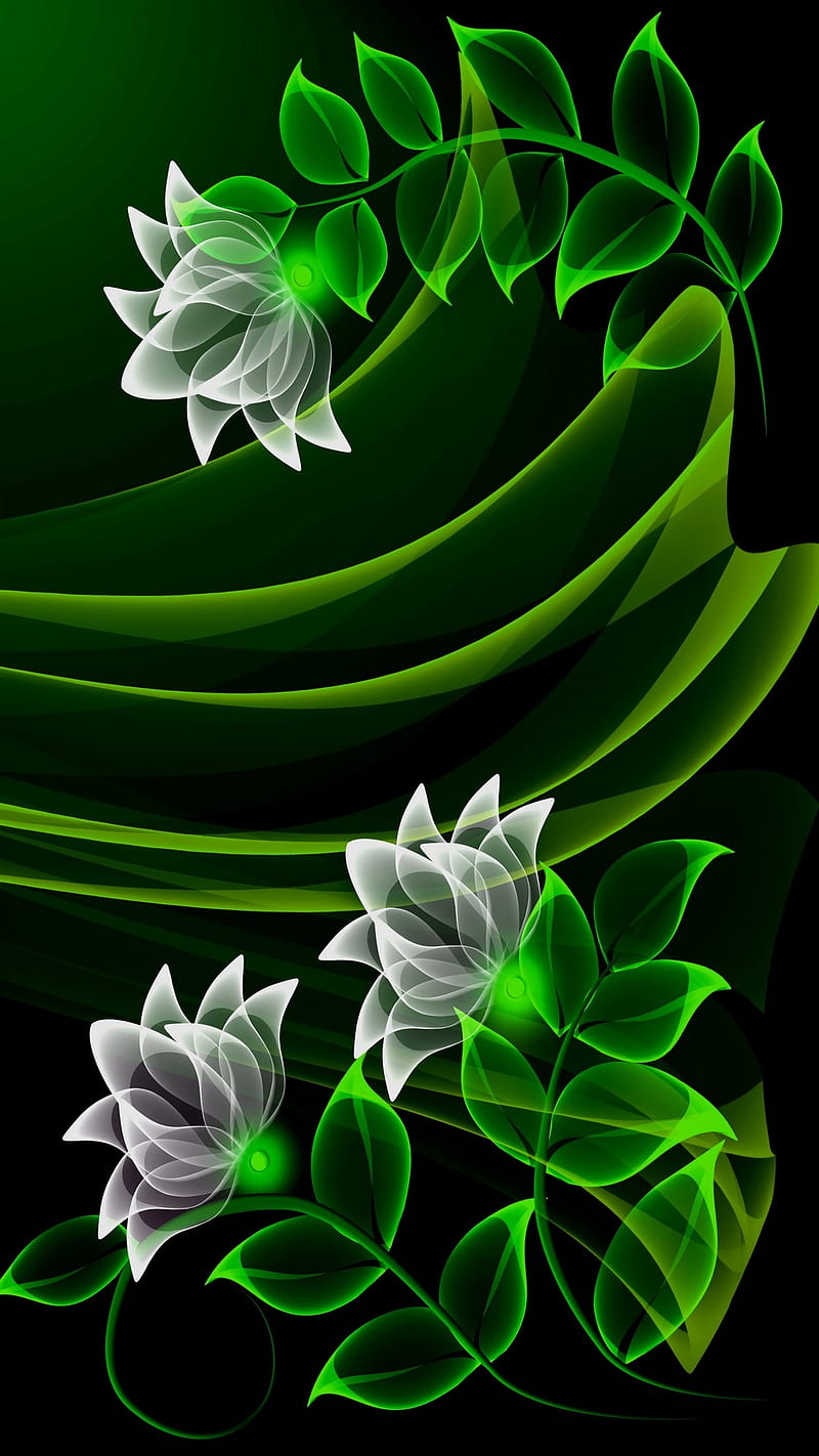 Flowers, designs, green, white, HD phone wallpaper