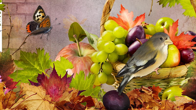 Fun Fall Fruit, fall, brick wall, autumn, grapes, fruit, leaves, butterfly, bright, papillon, plums, harvest, food, apples, collage, prunes, bird, basket, plenty, HD wallpaper