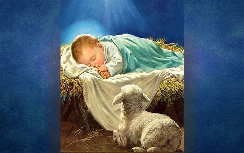 Sleeping Baby Jesus, sheep, Baby, sleeping, Jesus, manger, HD wallpaper