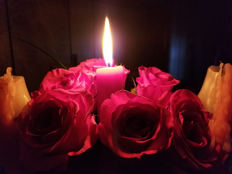 Roses by Candlelight, candle, halloween, HD wallpaper