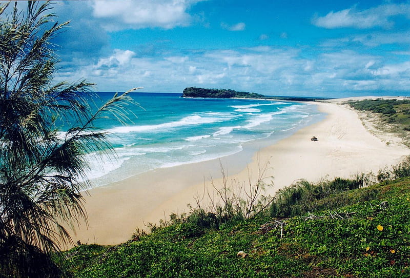 Fraser Island, Australia, fraser island, beach, off queensland, australia, tropical, palms, HD wallpaper