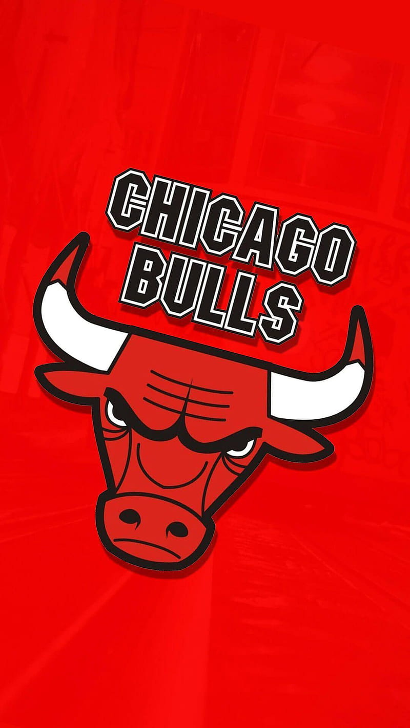 Chicago Bulls, bulls, chicago, nba, basketball, jordan, wp, logo, HD phone wallpaper
