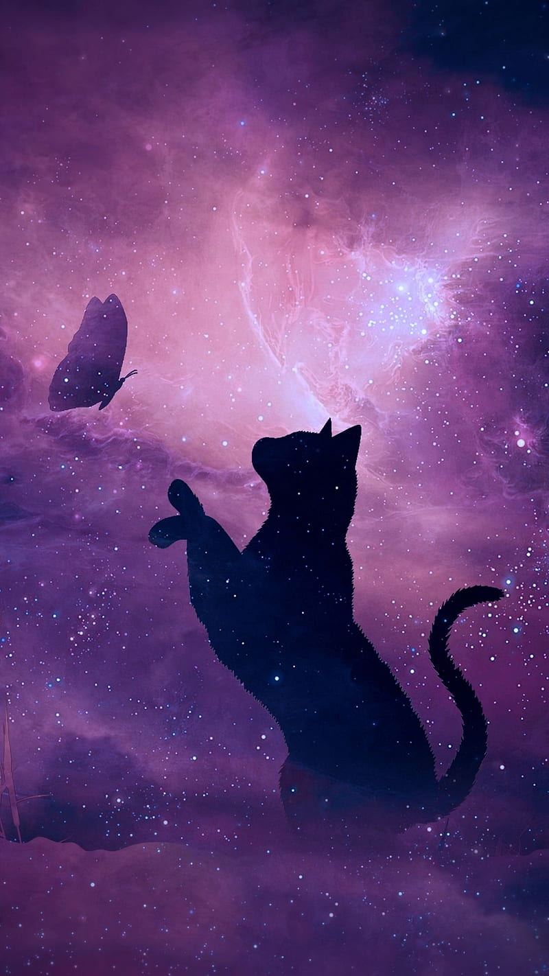 Galaxy cat, animals, best, butterfly, cats, moon, night, HD phone wallpaper