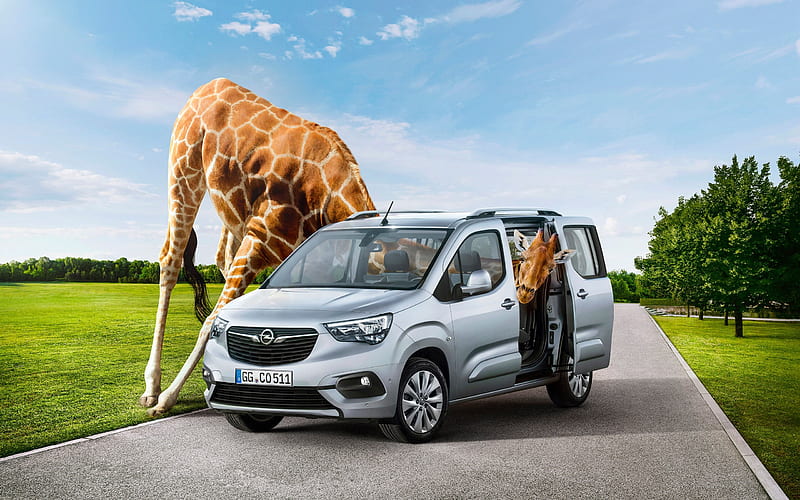 Opel Combo Life, 2018, minivan, exterior, new cars, new silver Combo, German cars, Opel, HD wallpaper
