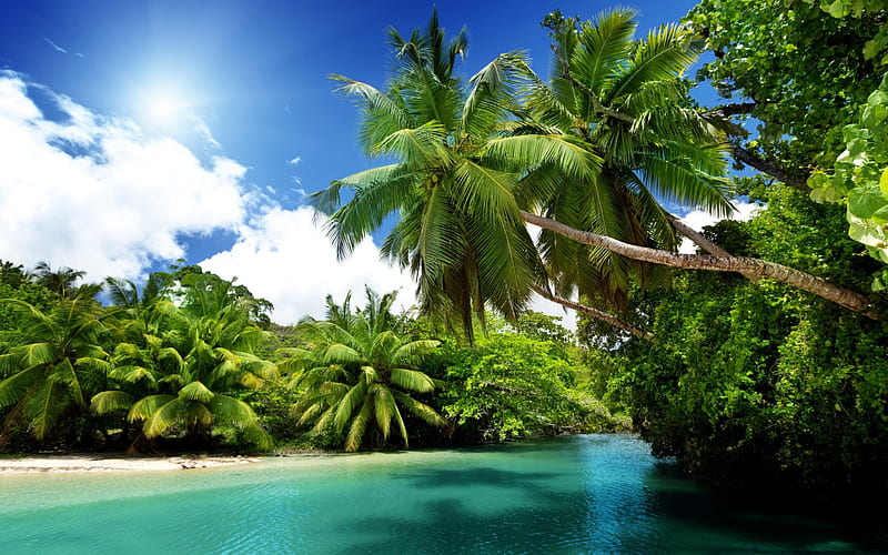 tropical island, beautiful bay, palms, summer, travel, beach, ocean, HD wallpaper