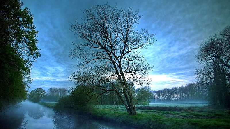 Blue Sky, nature, water, tree, blue, HD wallpaper | Peakpx