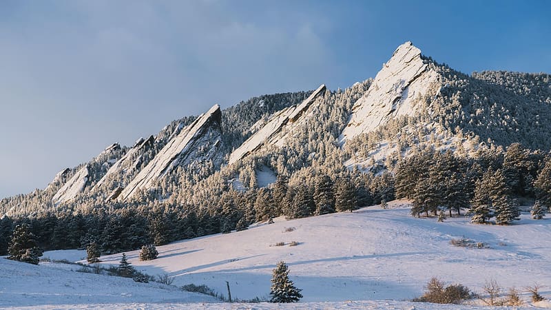 The Flatirons in winter, Boulder, Colorado, trees, landscape, winter, snow, usa, HD wallpaper