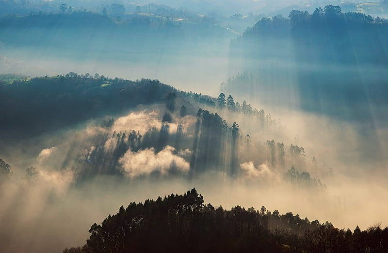 Sunbeams on forested hills in morning fog, hills, sunbeams, morning ...