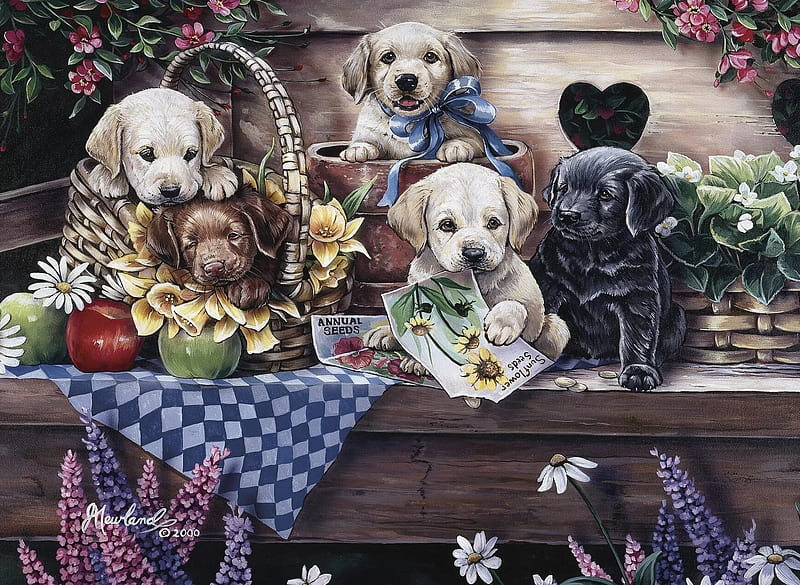 :), art, cute, garden, painting, caine, jenny newland, puppy, dog, pictura, HD wallpaper
