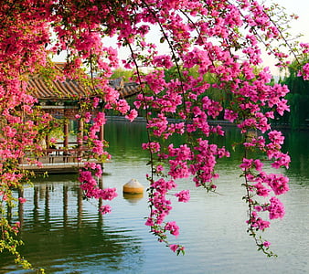 beautiful spring landscapes wallpapers