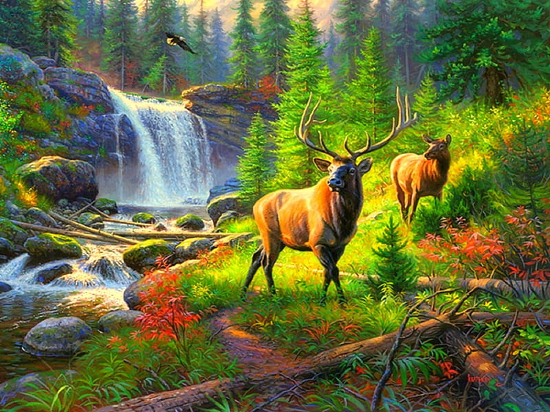 ★Thunder River★, colorful, autumn, stunning, panoramic view, attractions in dreams, bonito, paintings, landscapes, forests, reindeer, scenery, animals, rivers, fall season, colors, love four seasons, creative pre-made, trees, waterfalls, wildlife, nature, HD wallpaper