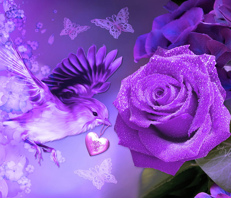 Purple Rose, bird, flower, nature, HD wallpaper
