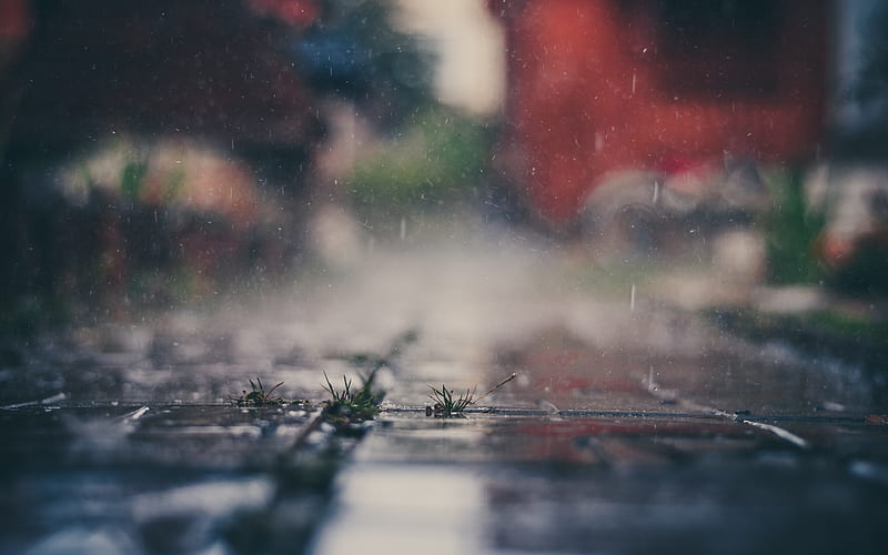 rain water splashes, puddles, street, HD wallpaper