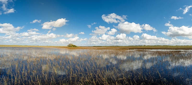 Earth, Grass, Everglades National Park , Reflection, HD wallpaper