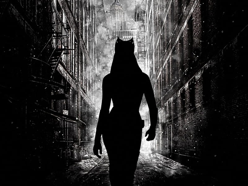 Catwoman on the Prowl, Batman, Dark Knight Rises, Meow, Gotham, Catwoman, Black and White, Cityscape, HD wallpaper