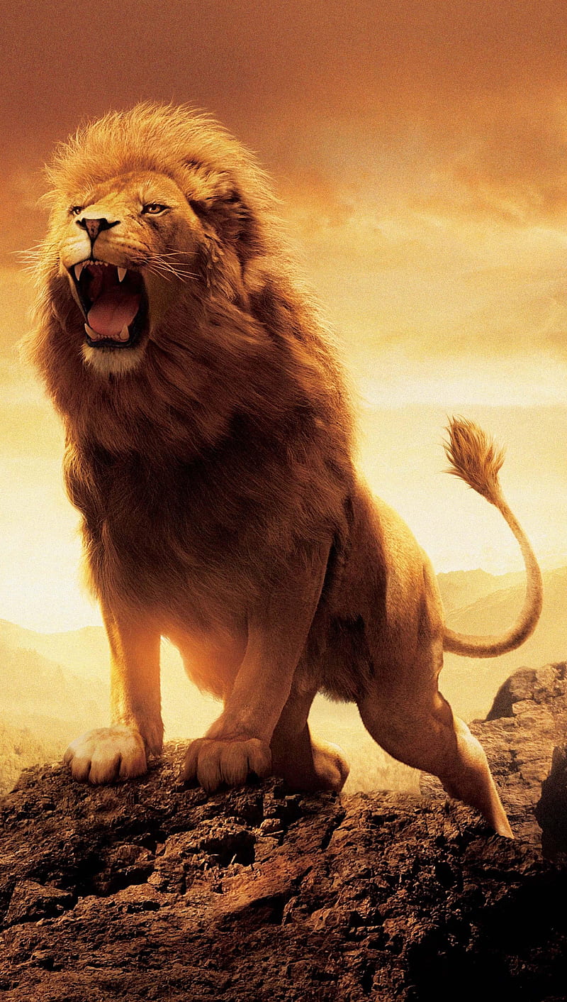 Mobile wallpaper: Lion, Movie, The Chronicles Of Narnia: The Lion