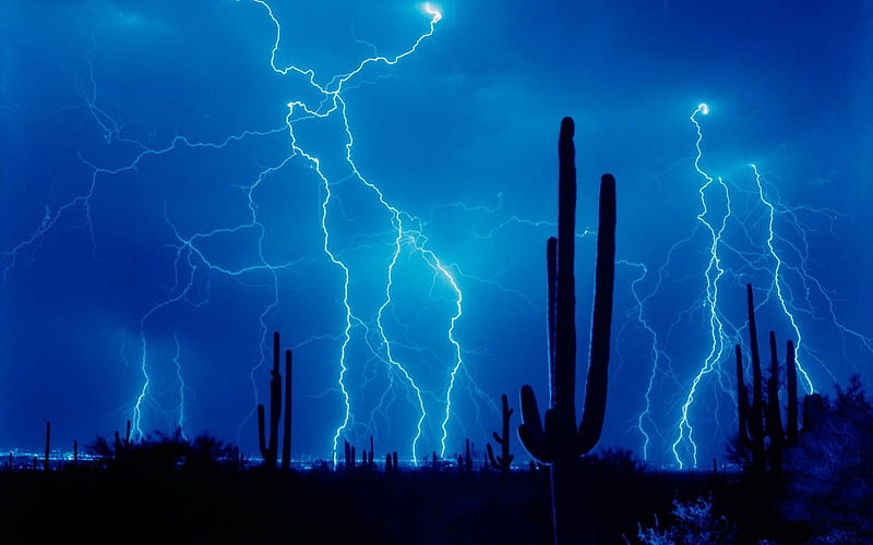 blue desert storm, pretty, desert, black, lightening, cactus, sky, storm, graphy, 3d, dark, hot, nature, light, blue, HD wallpaper