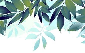 green leaves white background