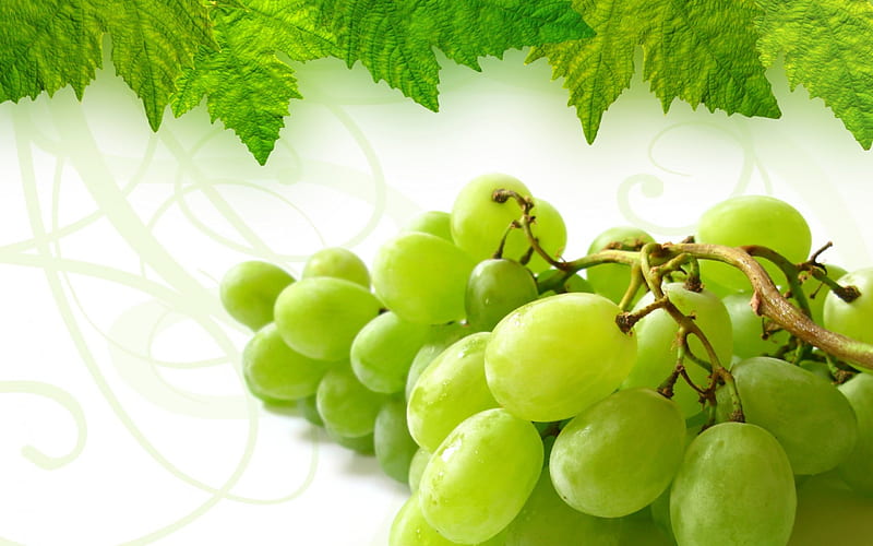Grapes, fruit, autumn, green, white, leaf, HD wallpaper