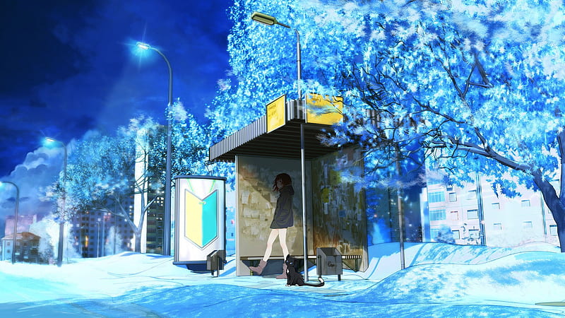 Anime, Original, Bus Stop, Girl, Winter, HD wallpaper