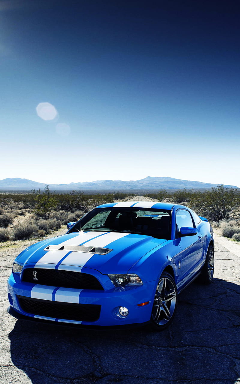 Ford Shelby GT500 Car [] for your, Mobile & Tablet. Explore Cars . Car,  Cool Car, HD phone wallpaper | Peakpx