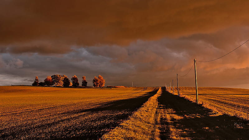 Man Made, Path, Cloud, Fall, Field, Sky, HD wallpaper