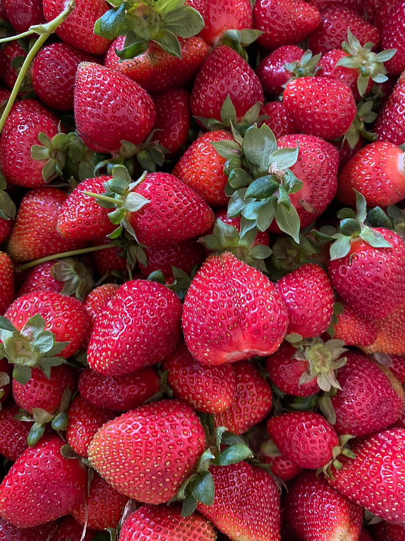 strawberries, fruits, berry, HD phone wallpaper