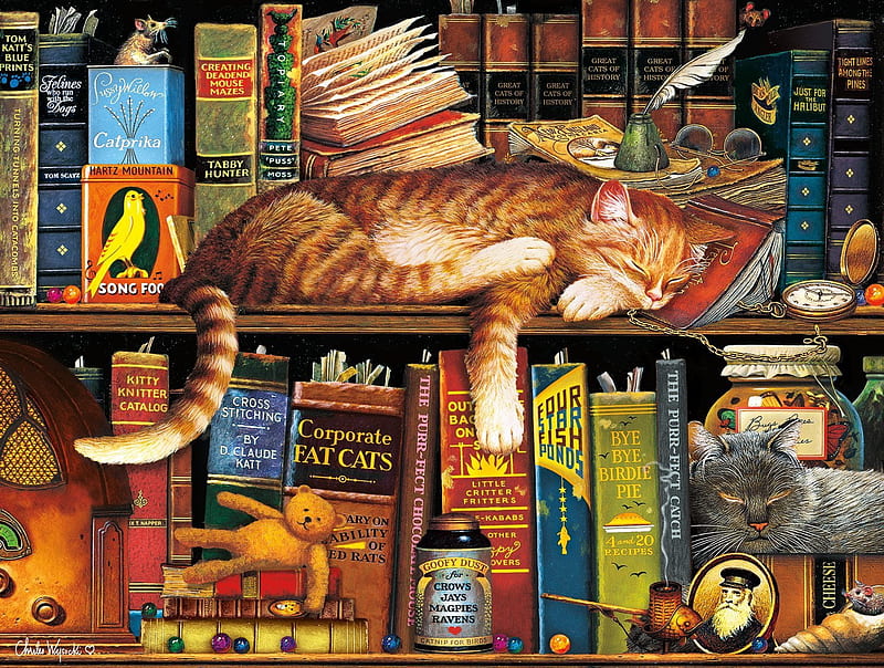 Sleeping cat, sleep, book, pisici, art, library, cat, HD wallpaper