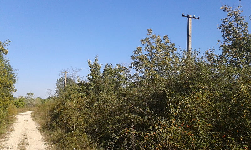 Summer field with a forsaken pylon, summer, nature, field, pylon, HD wallpaper