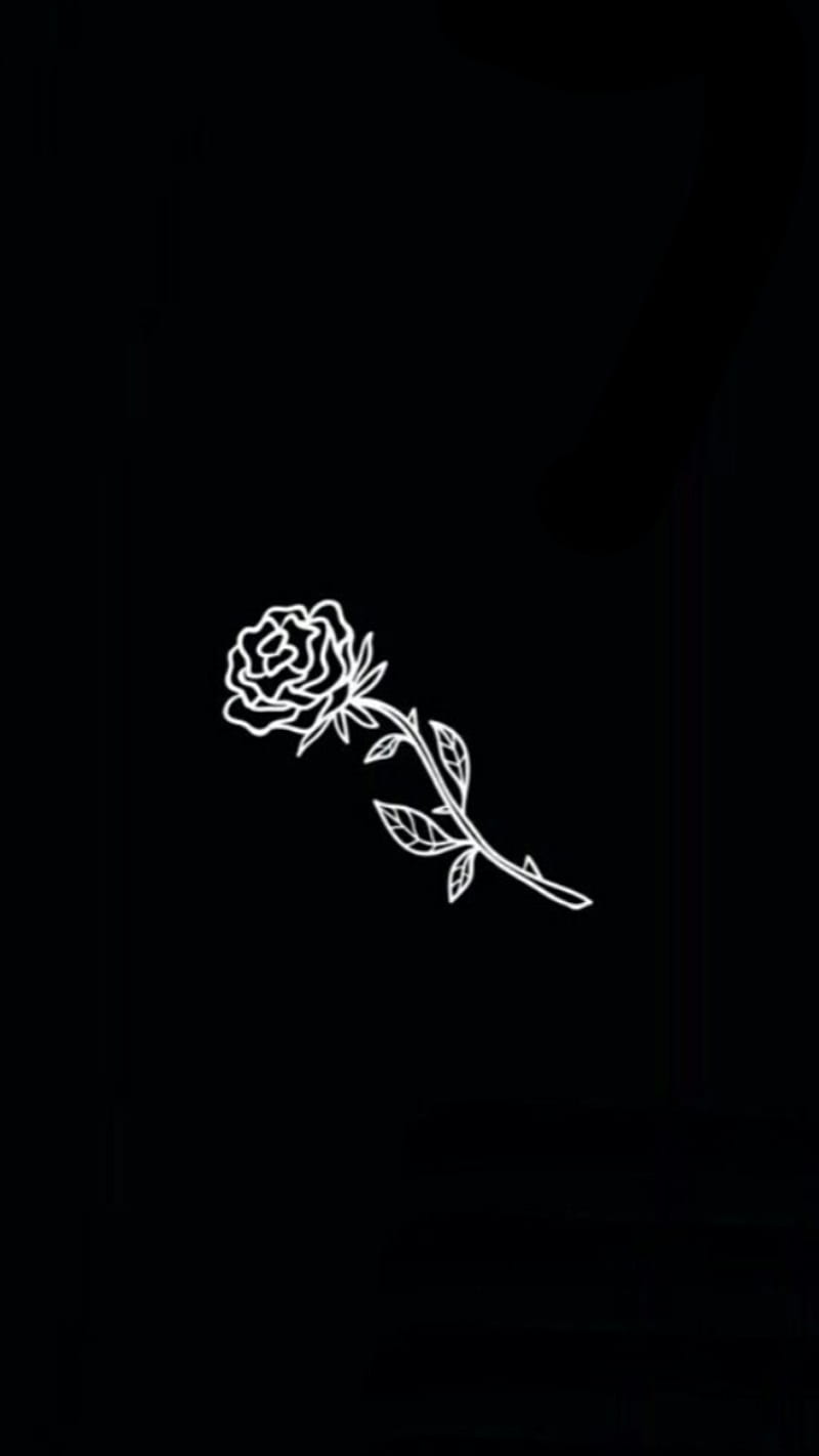White Rose, black, HD phone wallpaper
