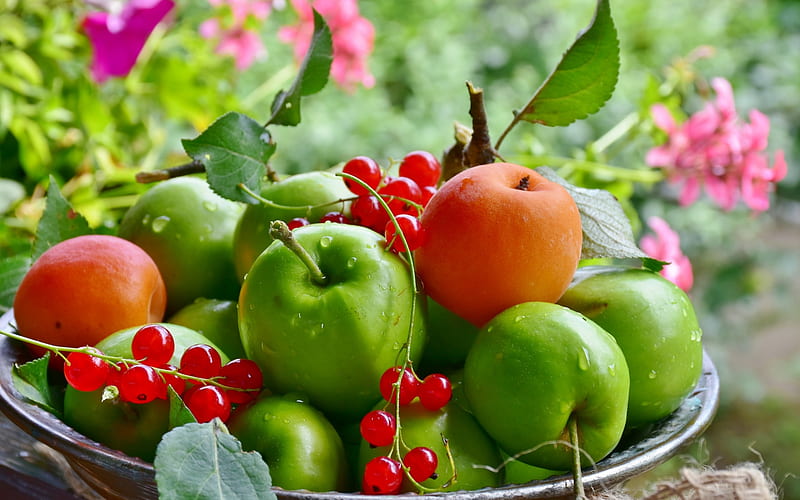Fruits, apple, fruit, red, vara, green, berry, orange, summer, HD wallpaper