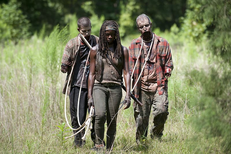 Tv Show, The Walking Dead, Michonne (The Walking Dead), Danai Gurira, HD wallpaper