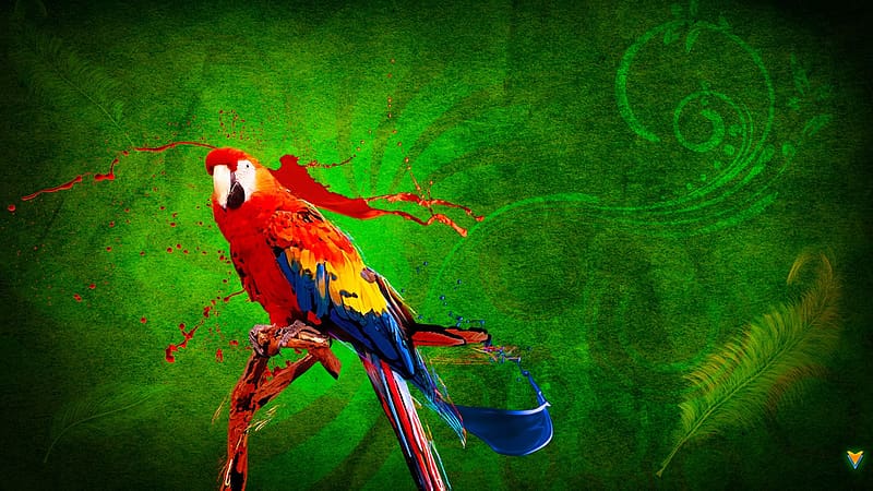 Birds, Animal, Scarlet Macaw, HD wallpaper