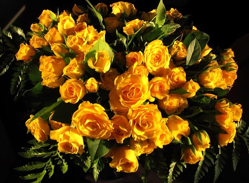 Yelow bouquet, yellow, flowers, roses, bouquet, HD wallpaper | Peakpx