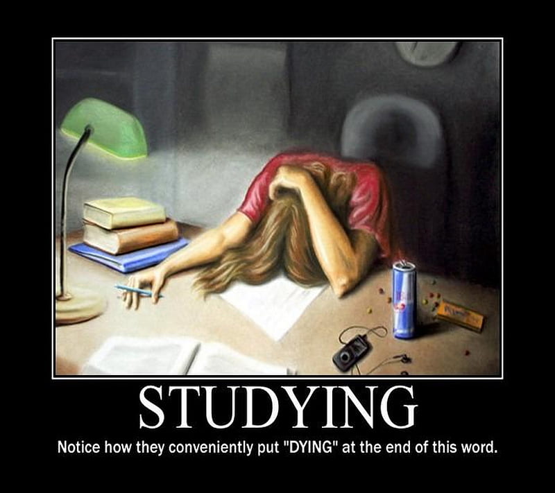Dying, comdey, funny, student, studying, HD wallpaper | Peakpx