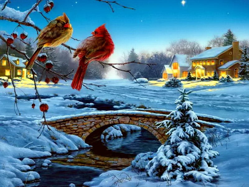 Winter cardinals, cottage, home, snowy, cardinals, bridge, painting, village, river, cabins, light, frost, night, art, holiday, christmas, birds, creek, sky, trees, winter, snow, ice, nature, frozen, HD wallpaper