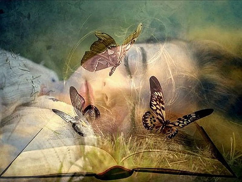 Wish I Were a Butterfly, sleep, wish, napping, book, dreams, nap, abstract, sleeping, graphy, daydream, fantasy, girl, imagination, HD wallpaper