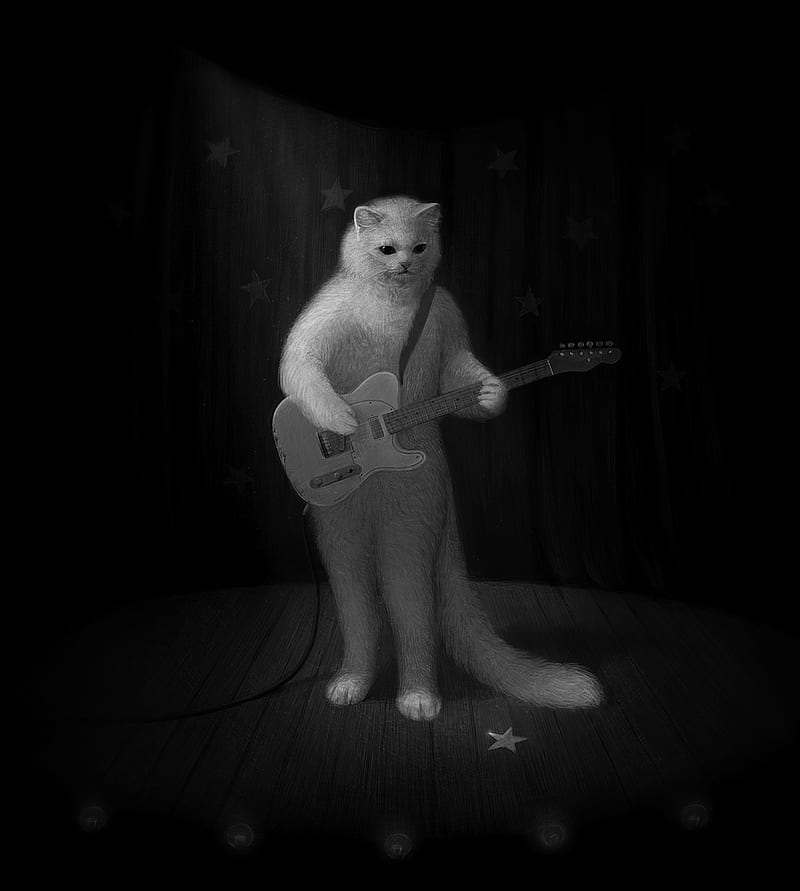 cat, guitar, bw, musician, HD phone wallpaper