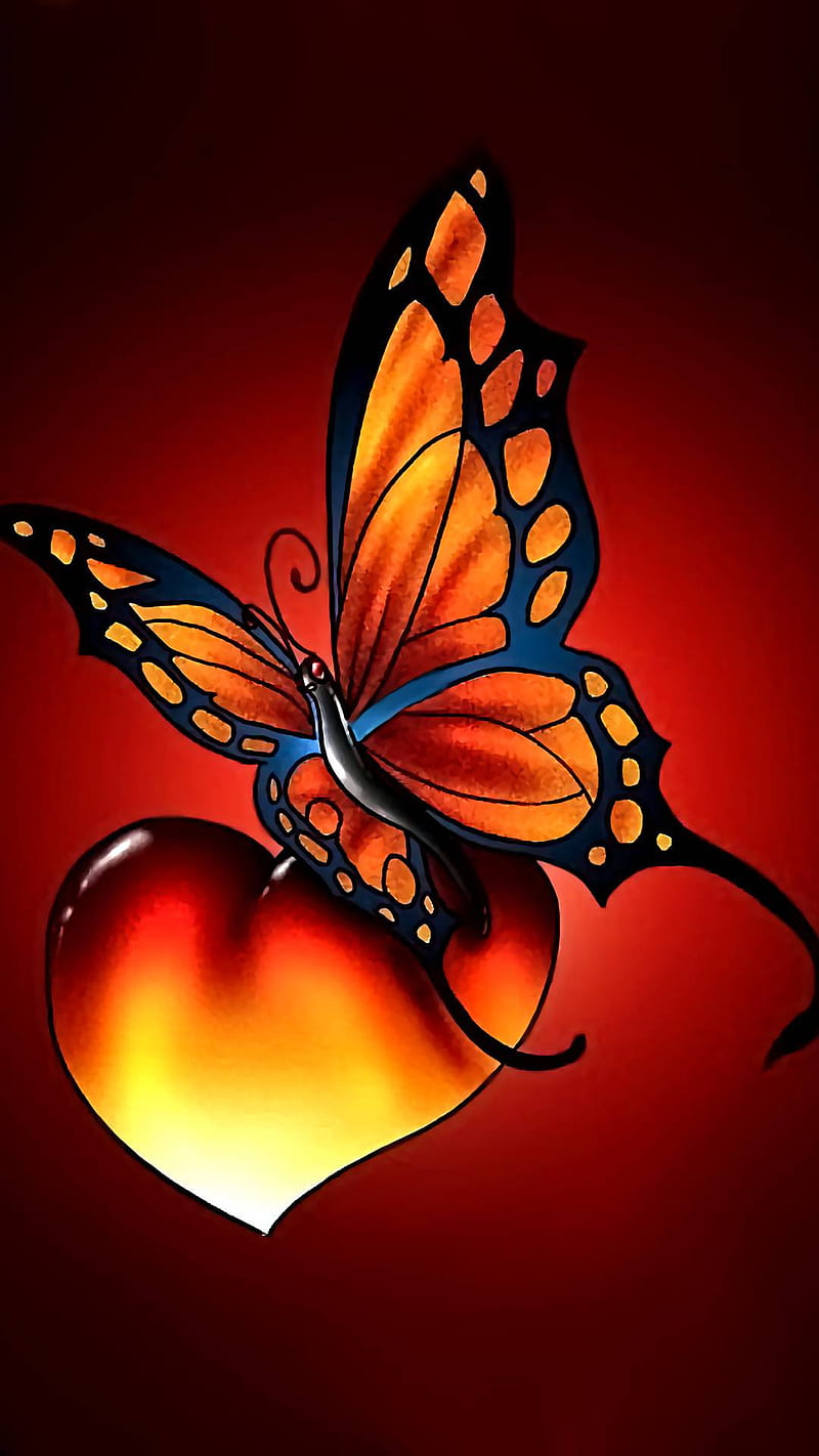 Firey butterfly, butterflies, HD phone wallpaper