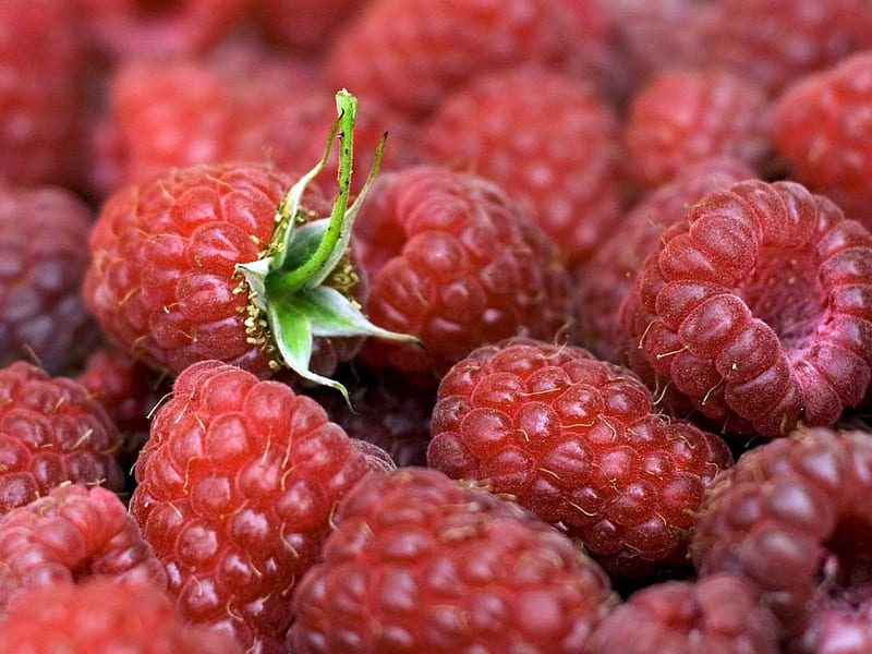 Raspberries, leaves, ripe the leaves, berry, food, berries, raspberry, HD wallpaper