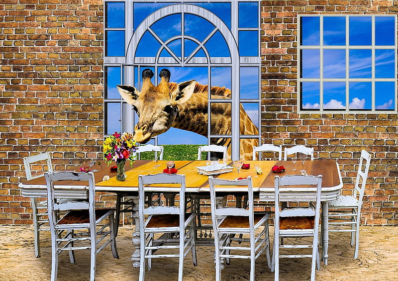 Giraffe and Flowers, chairs, table, windows, funny, HD wallpaper