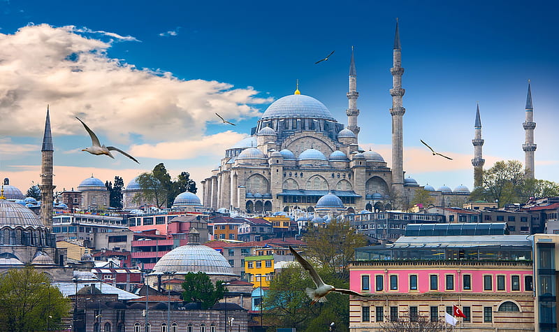 The Blue Mosque Istanbul Turkey, city, the blue mosque, turkey, buildings, istanbul, HD wallpaper