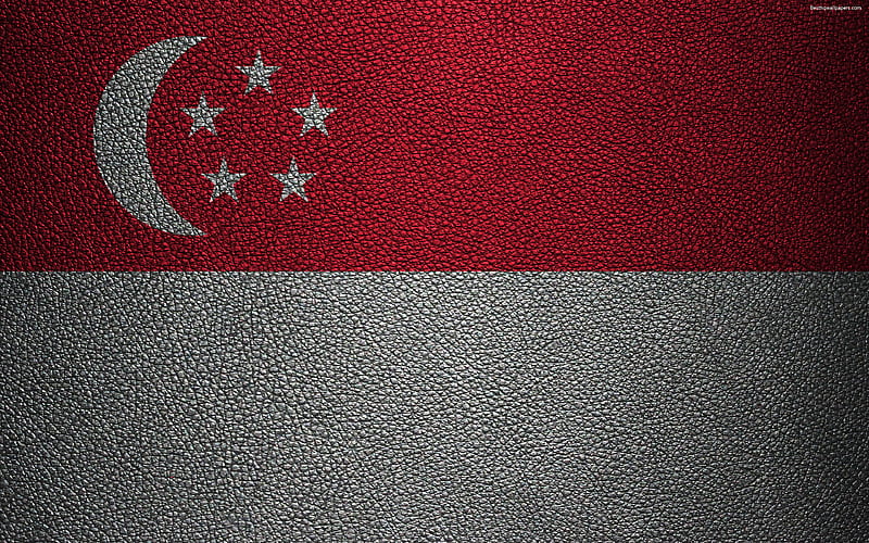 Flag of Singapore leather texture, Singapore flag, Asia, world flags, Singapore, HD wallpaper