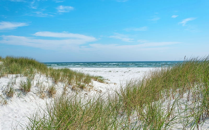 By Baltic Sea, beach, sand, dunes, sea, grass, HD wallpaper