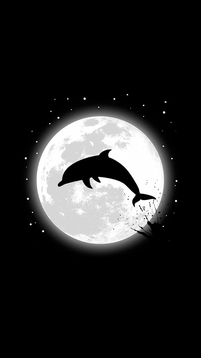 Breach, dolphin, ocean, night, full moon, stars, black and white, sea, aquatic, HD phone wallpaper