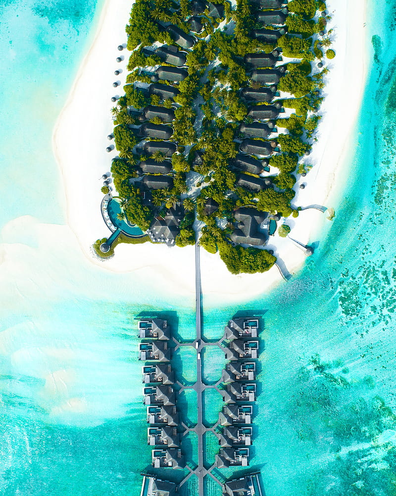 bungalow, aerial view, ocean, tropics, palm trees, HD phone wallpaper
