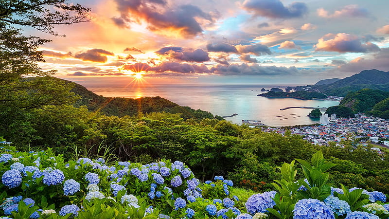 Amazing sunset, hills, hydrangea, japan, view, town, sunset, sky, sea, HD wallpaper